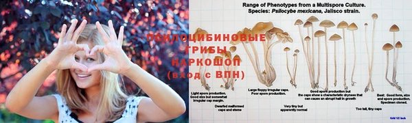 каннабис Алзамай