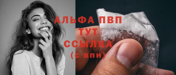 дмт Абаза